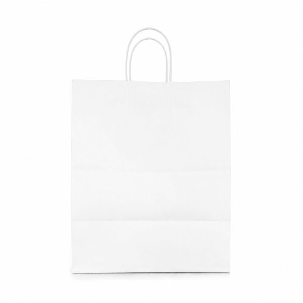 Paper Shopping Bag with Twisted Handles, 11″ x 12″ x 8″ (White)
